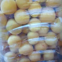 خوج جنگلی خوشمزه درجه یک آلوچه آلبالو ازگیل و..|خوردنی و آشامیدنی|رشت, رودباری|دیوار