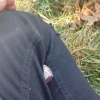 انگشتره نقره