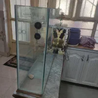 آکواریم و ماهی حراج متن بخون|ماهی|اهواز, دغاغله|دیوار