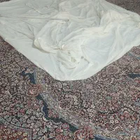 پشه بند