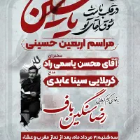 رضا سنگین باف، تنظیم کننده انواع سیستم های صوتی|صوتی و تصویری|کاشان, سلطان امیر احمد|دیوار
