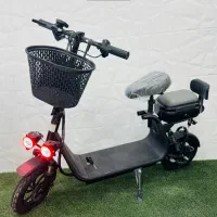 اسکوتر برقی اروپایی H2 دونفره بزرگسال.قسطی 36ماهه