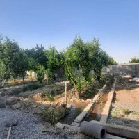 باغ-4دیواری750متر-تهاتر-با-آپارتمان-فردوسیه-شهریار