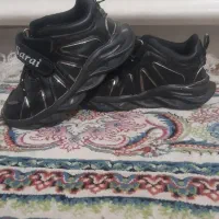 کفش|کیف، کفش، کمربند|پرند, فاز ۱|دیوار