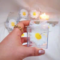 شمع بابونه|صنایع دستی و سایر لوازم تزئینی|دابودشت, |دیوار