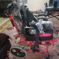 ویلچر سیپی کوچک