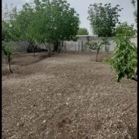 باغ700متری حصارمهتر چهاردیوار قدیمی برخیابان اصلی|فروش زمین و ملک کلنگی|رباط‌کریم, حصار مهتر|دیوار