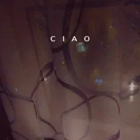 پرده مارک douceur dInterieur|پرده، رانر، رومیزی|کرمانشاه, |دیوار