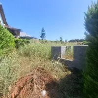 فروش زمین در شهرک مسکونی در بهترین لوکیشن|فروش زمین و ملک کلنگی|رویان, |دیوار