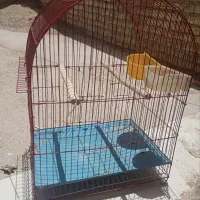 قفس پرنده