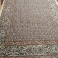 فرش ۶متر|فرش|بیرجند, |دیوار