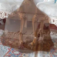 دو عدد شیشه‌ی مخصوص جلو مبلی