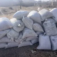 کود گوسفندی