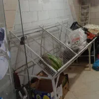 وسایل میوه فروشی