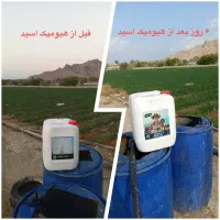 کودکشاورزی|دفتر کار|قم, باغ شازده|دیوار