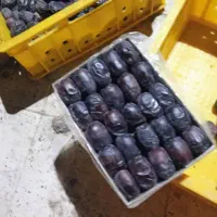 خرما مضافتی درجه یک دو ردیف