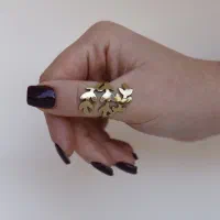 انگشتر|بدلیجات|شیراز, اصلاح‌نژاد|دیوار