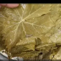 برگ دلمه|خوردنی و آشامیدنی|آشخانه, |دیوار