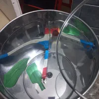 سبزی خوردکن سبزیران