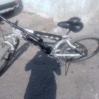 دوچرخه ویوا|دوچرخه، اسکیت، اسکوتر|شیراز, پودنک|دیوار