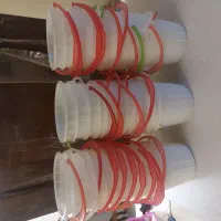 سطل ماست تمیز و سالم