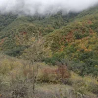 فروش زمین تجاری و مسکونی در دوهزار تنکابن