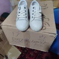 کفشهای کتانی دخترانه و پسرانه همه رنگ وهمه مدل|کیف، کفش، کمربند|بجنورد, |دیوار