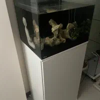 آکواریوم آکوا