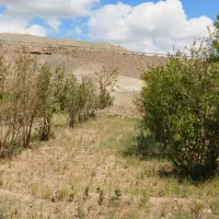 باغ انار بالش آباد|فروش زمین و ملک کلنگی|سبزوار, کراب|دیوار