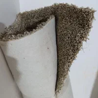 موکت پرزبلند ۱۲متری