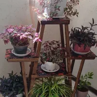 استند نووسالم با گلدون گل