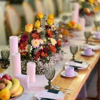 استخدام در تشریفات مجالس