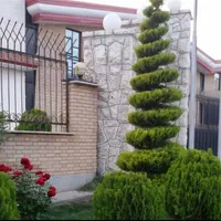 خدمات باغبانی ( گل وگیاه باغچه ای، آپارتمانی)|خدمات باغبانی و درختکاری|تهران, نیروی هوایی (پیروزی)|دیوار