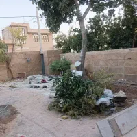 خرید چوب و بریدن درخت حمل شاخ برگ|خدمات باغبانی و درختکاری|شیراز, قصرالدشت|دیوار