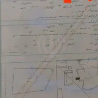 فروش فوری یک قطعه زمین