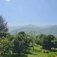 فروش زمین 1296متری کاربری سند ششدانگ