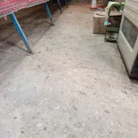 اجاره-سالن-پرورش-بلدرچین-وانواع-طیور-و-غیره