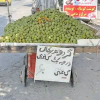 گردو محلی درجه یک کاغذی