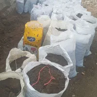 کود حیوانی چند ساله