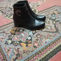 کفش مجلسی