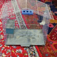 قفسه پرنده|لوازم جانبی حیوانات|پارس‌آباد, |دیوار