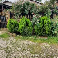 اجاره-روزانه-ویلای-ارغوان-جاده-قلعه-رودخان