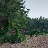 فروش فوری طرح عمان سامان
