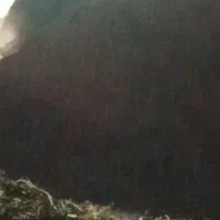 نخودی.بادامی.شکسته.شسته