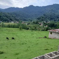 فروش زمین و ملک های به قیمت واقعی گوراب مبین بالو