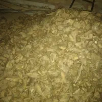 خرده چغندر|عمده‌فروشی|لالجین, |دیوار