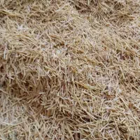 فروش رشته پلویی