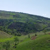 فروش زمین کشاورزی جهت احداث باغ ویلا