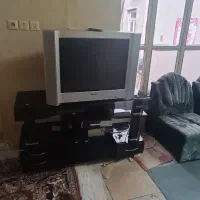 تلویزیون