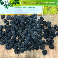 کشمش انگور شرابی بدون هسته|خوردنی و آشامیدنی|کاشمر, |دیوار